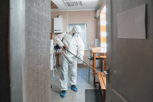 Best Commercial Mold Inspection  in Clayton, AL