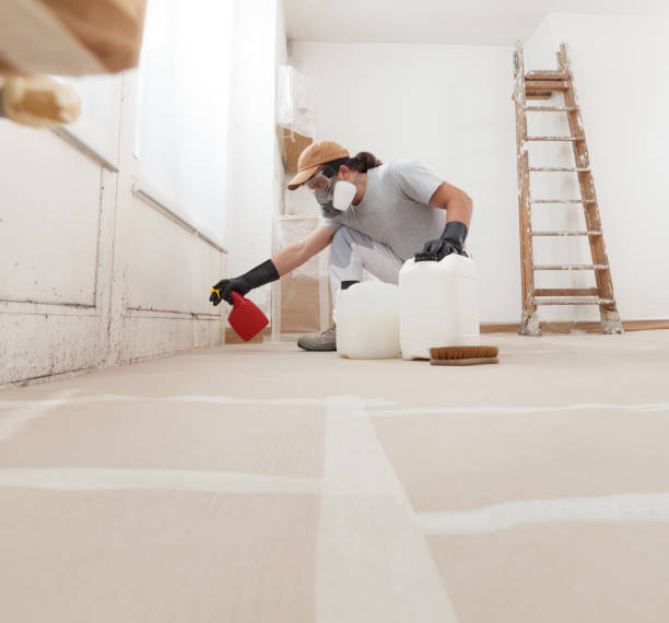 Best Indoor Air Quality Assessment  in Clayton, AL