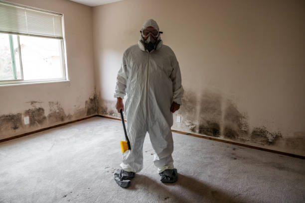 Asbestos and Lead Testing During Mold Inspection in Clayton, AL